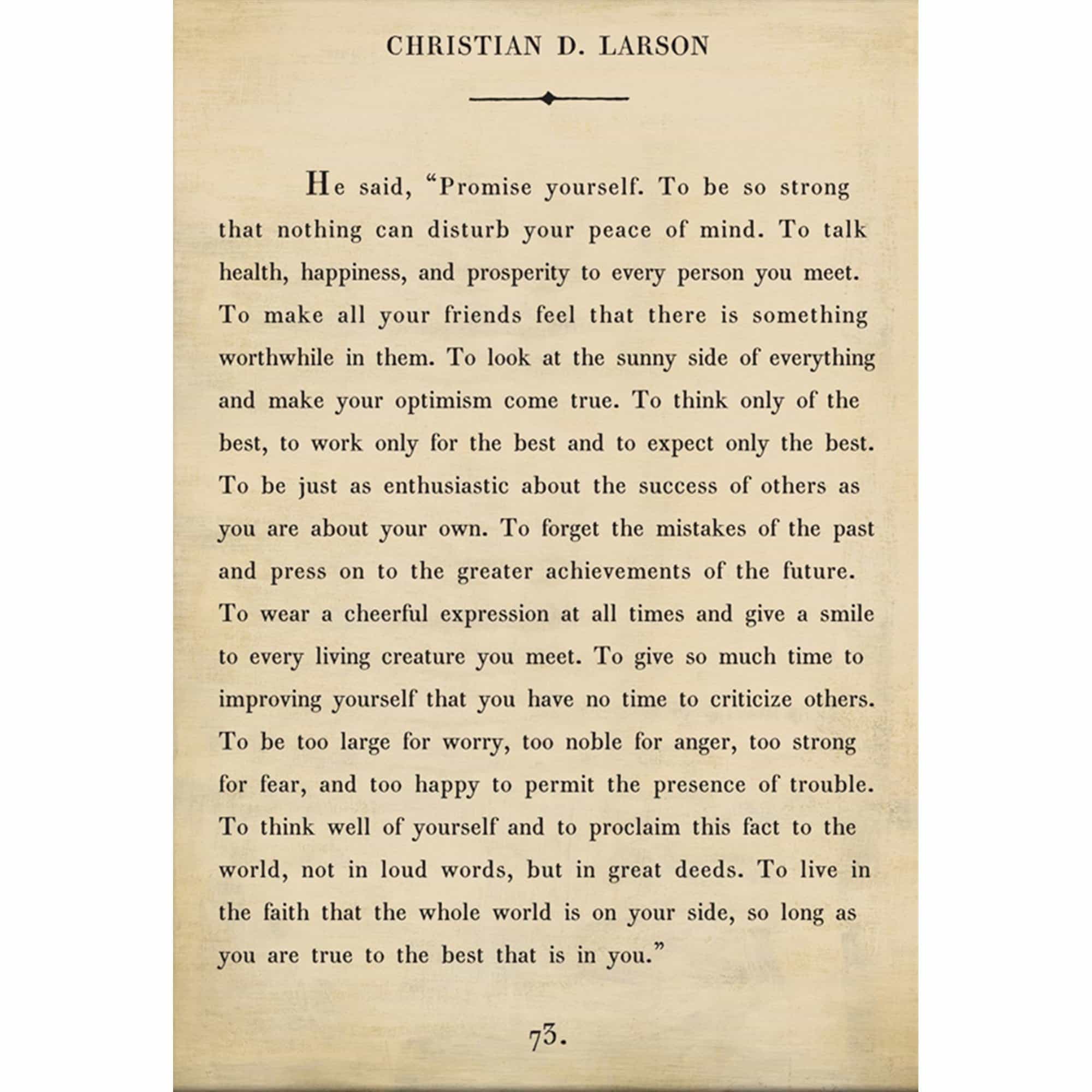 Christian Larson - Book Collection Art Print - Image 2