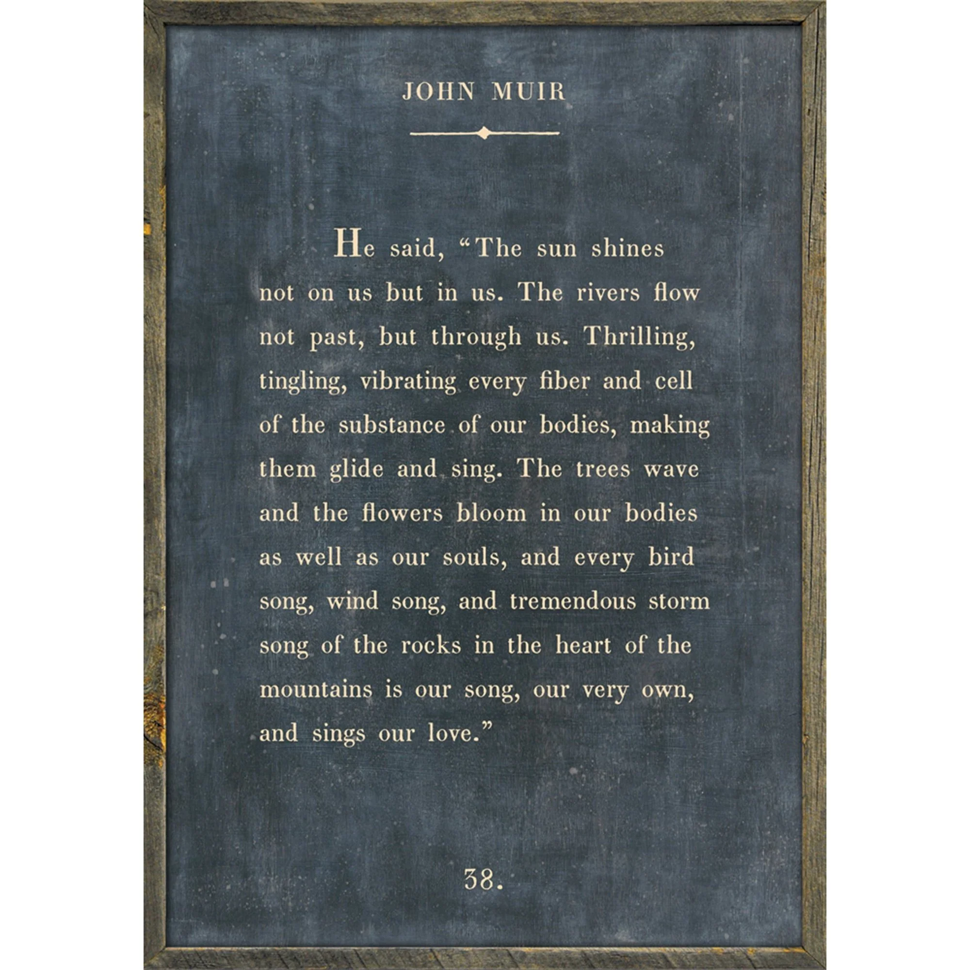 John Muir - Book Collection Art Print