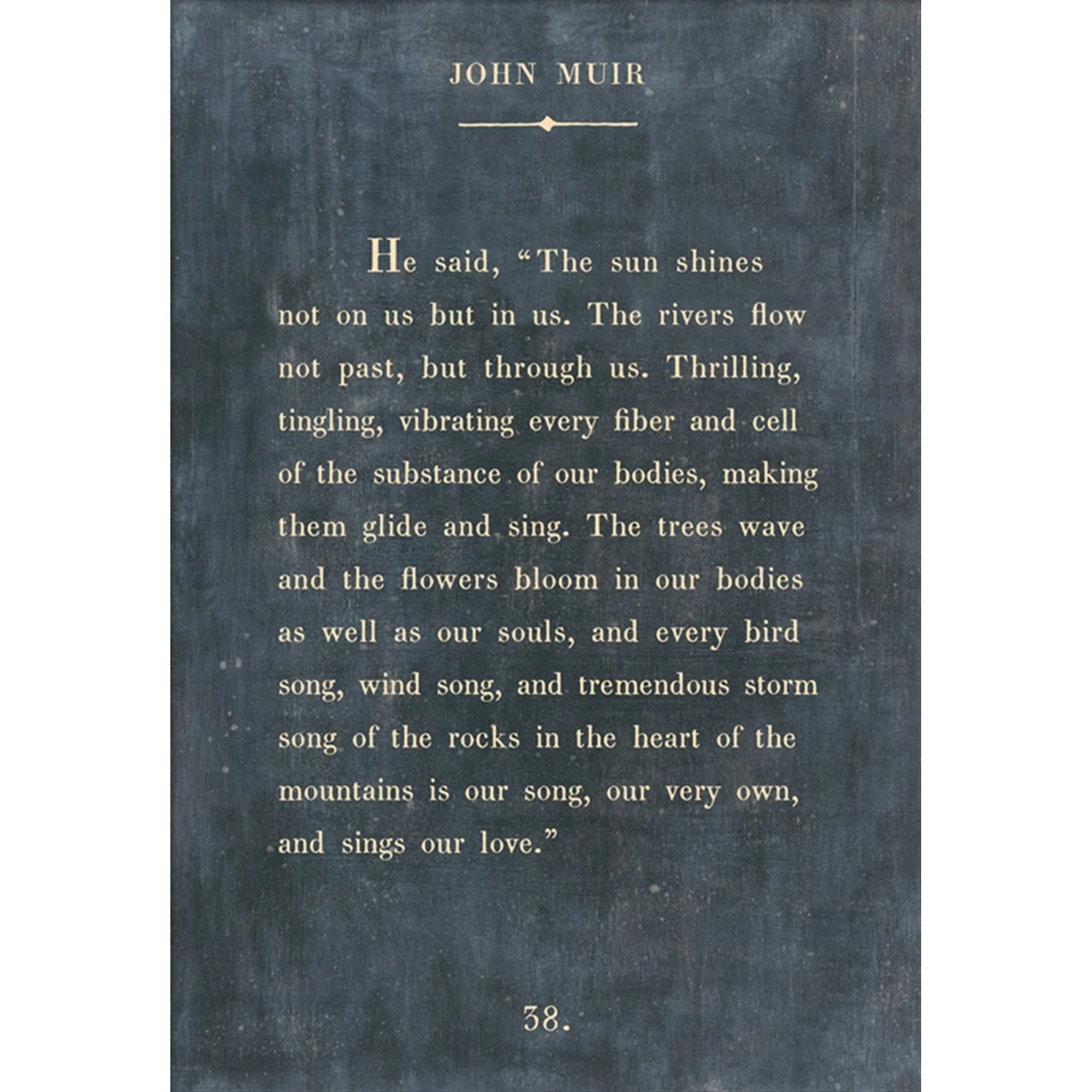 John Muir - Book Collection Art Print - Image 2