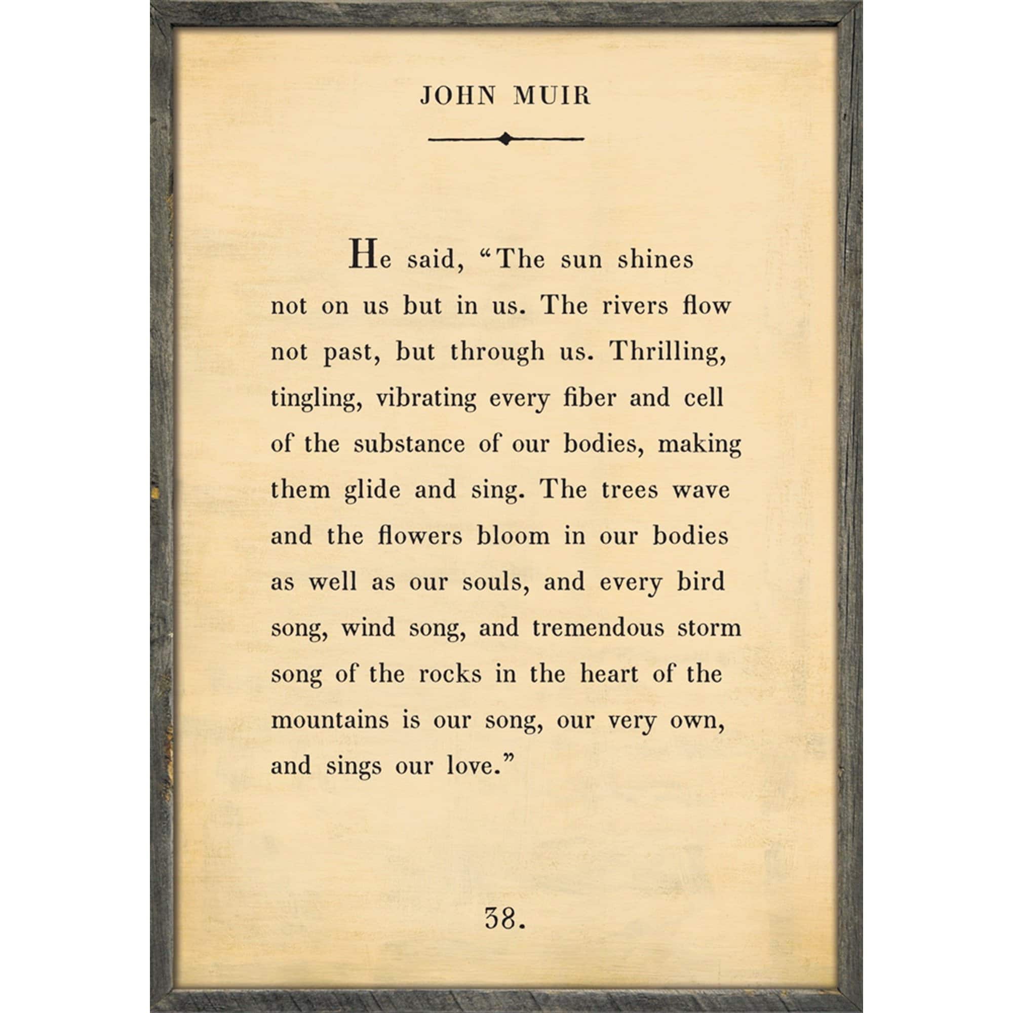 John Muir - Book Collection Art Print - Image 3