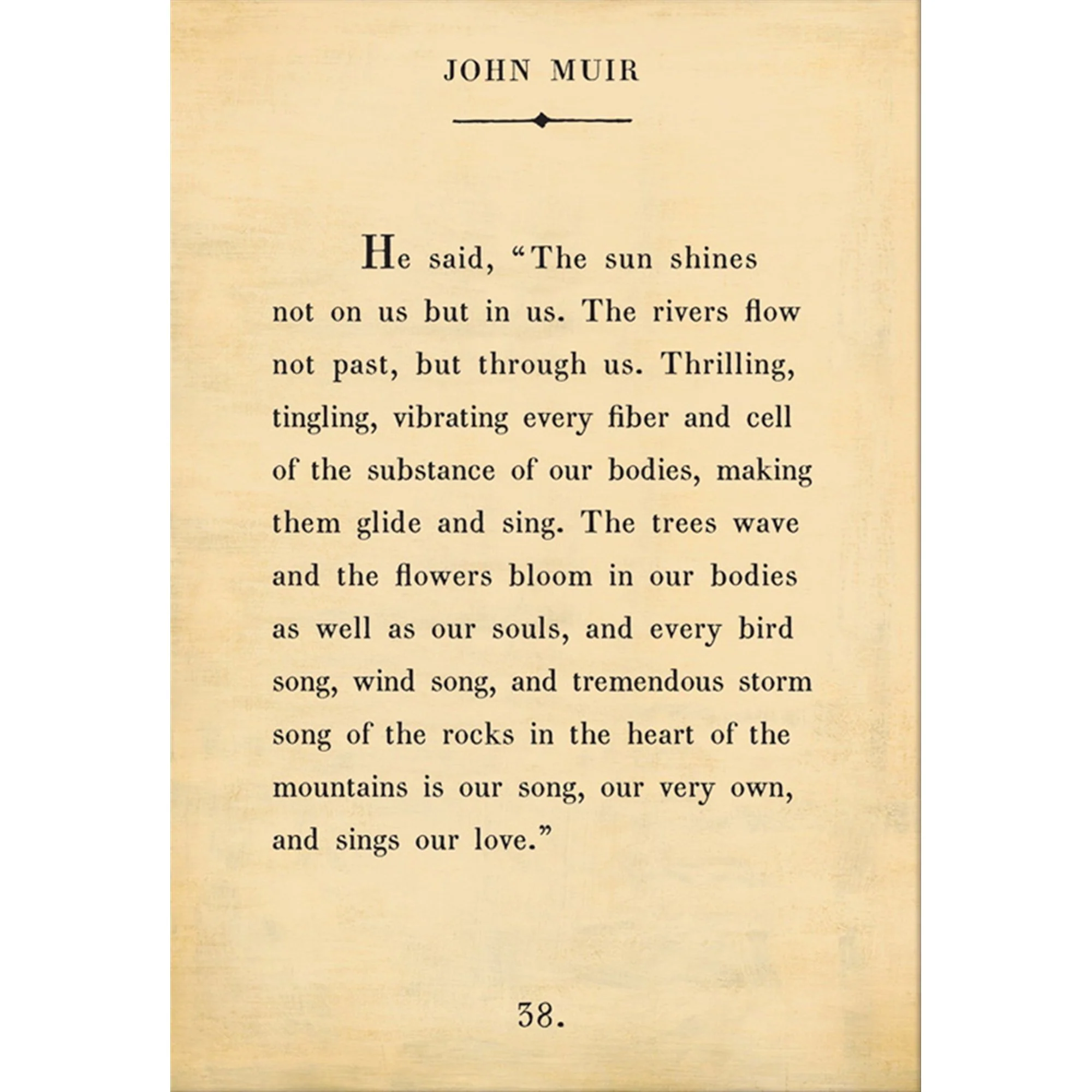 John Muir - Book Collection Art Print - Image 4
