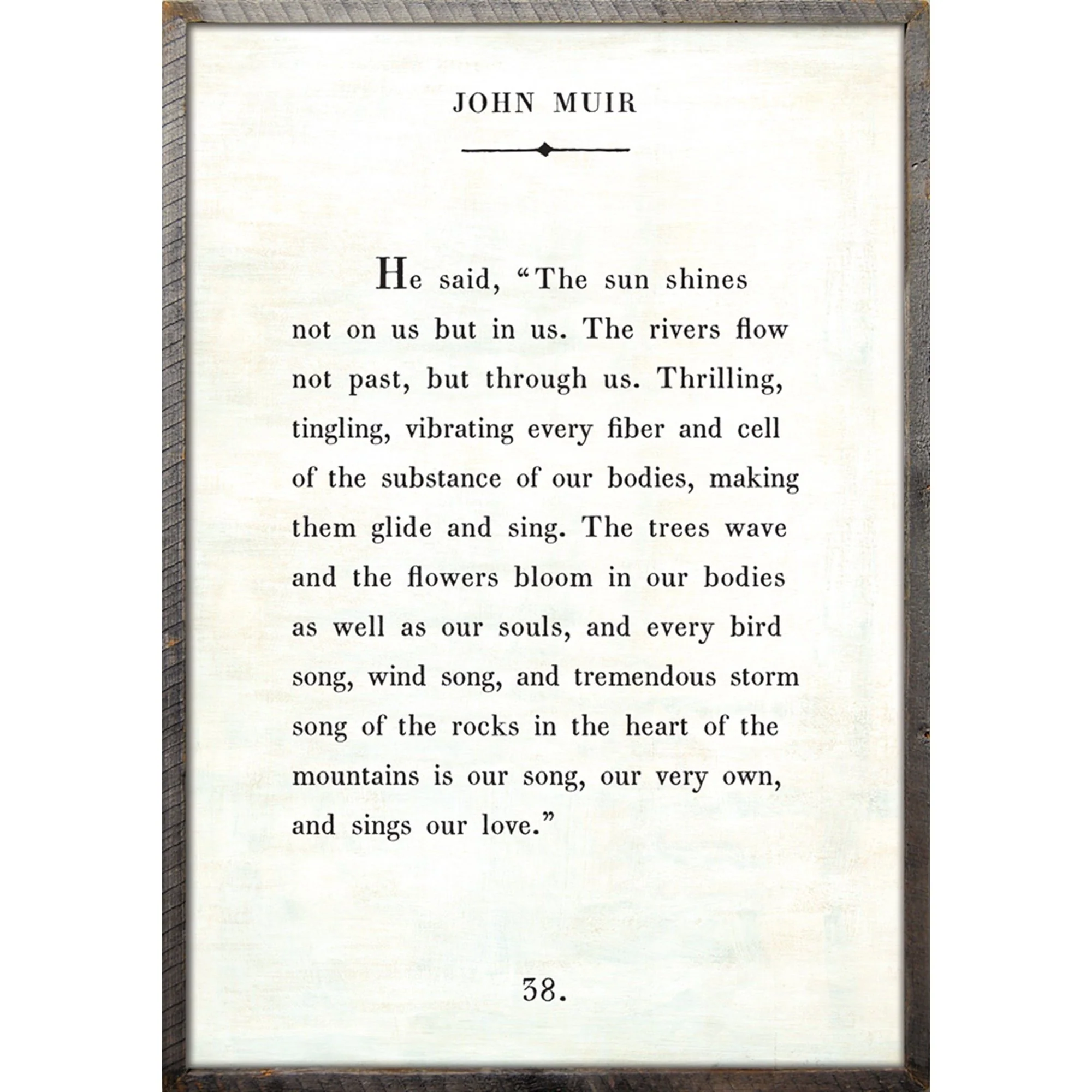John Muir - Book Collection Art Print - Image 5