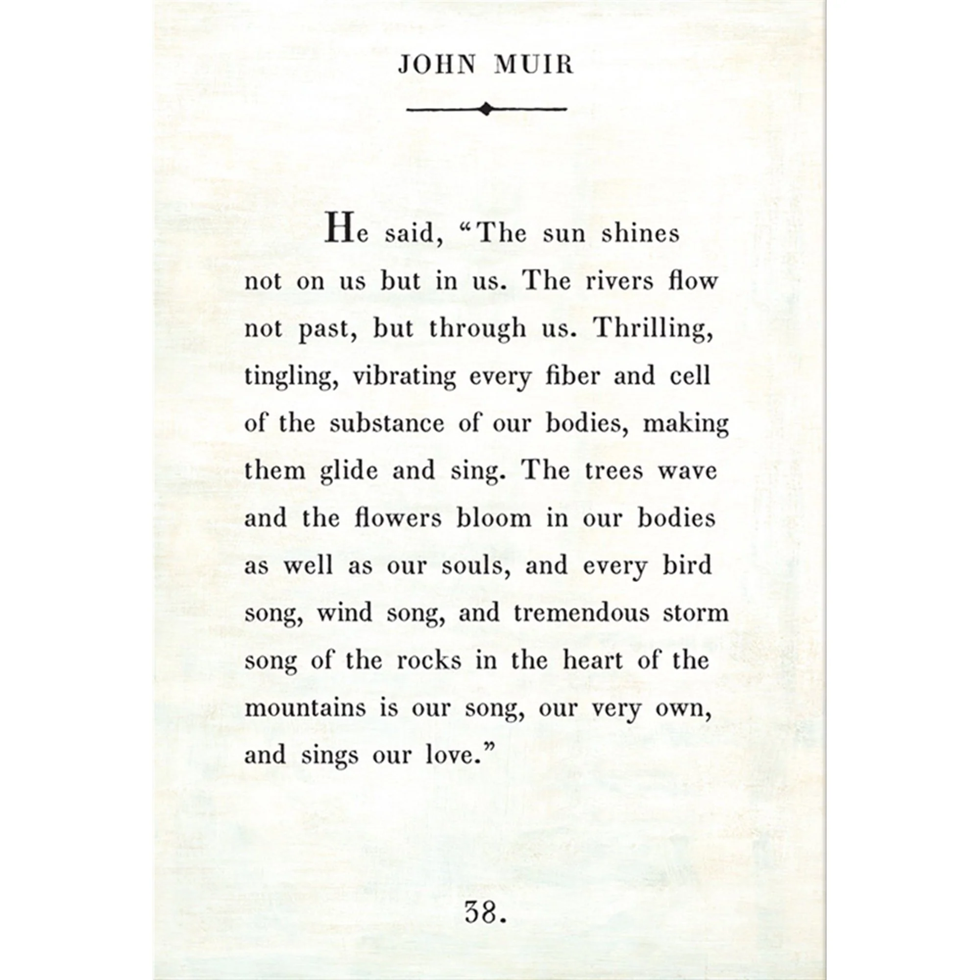 John Muir - Book Collection Art Print - Image 6