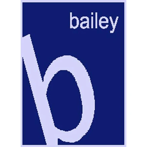 Slanted Large Letter Personalized Stroller Blanket or Baby Blanket - Image 2