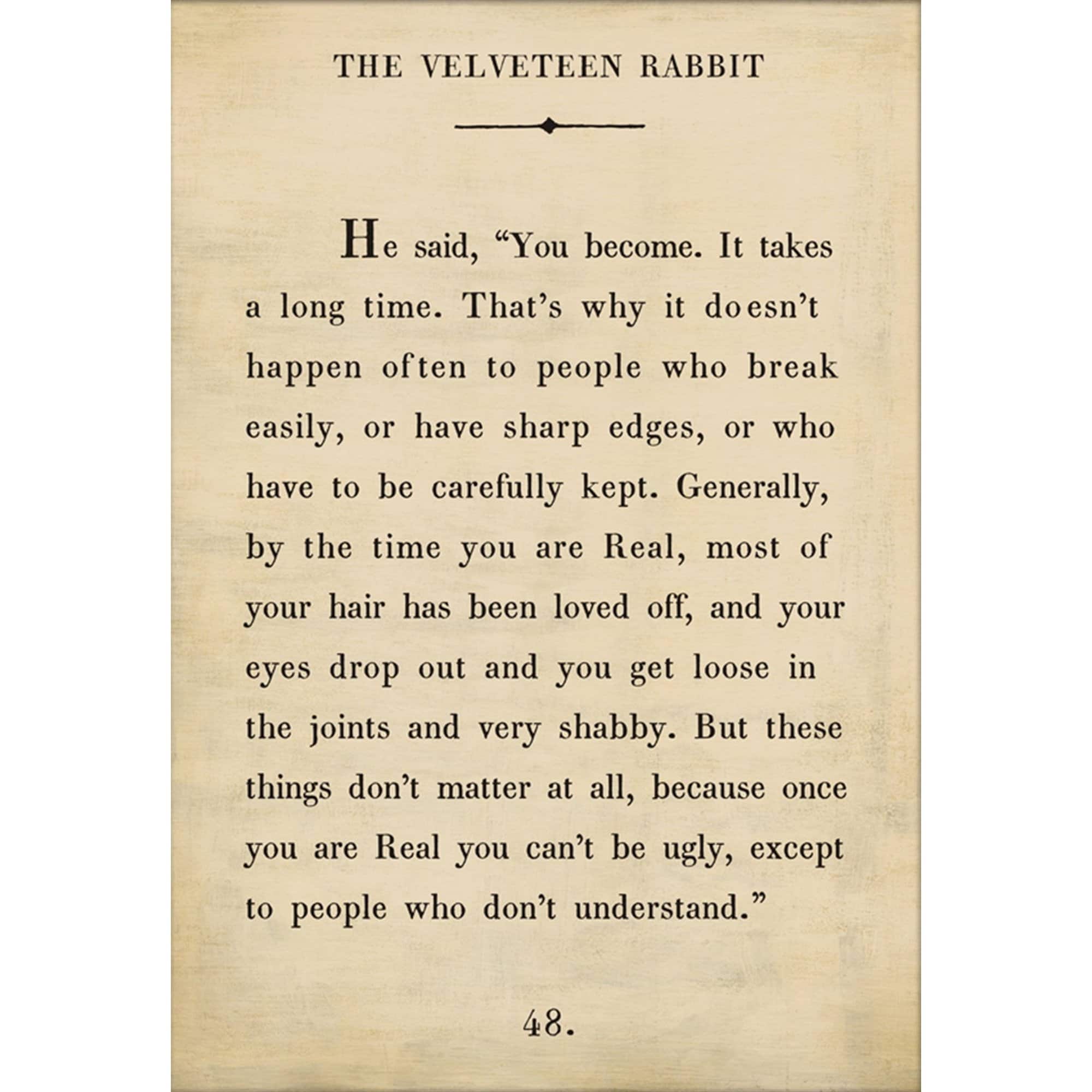 The Velveteen Rabbit - Book Collection Art Print - Image 4